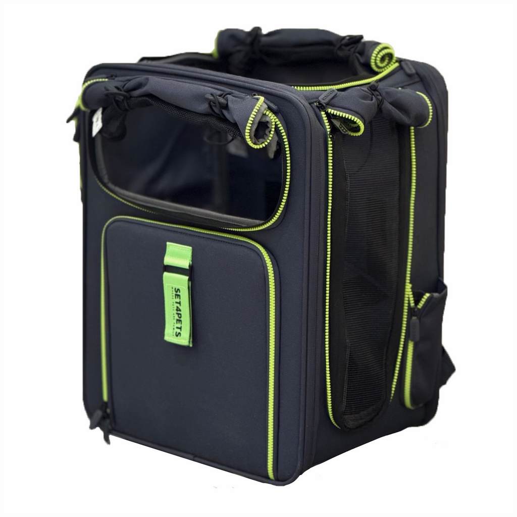 Premium Car Safety Carrier 2.0