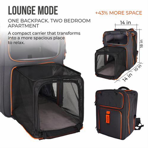 Premium Car Safety Carrier 2.0 — Orange