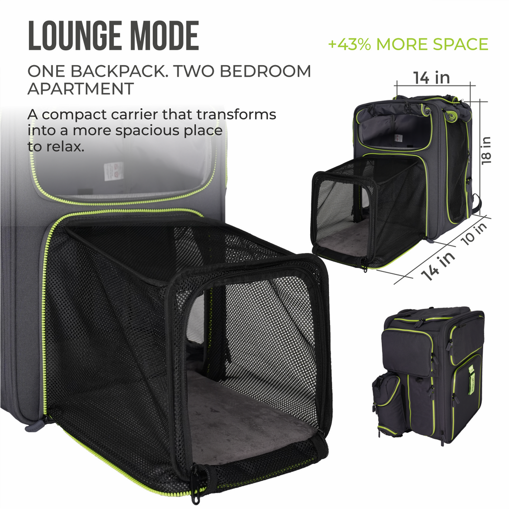 Premium Car Safety Carrier 2.0