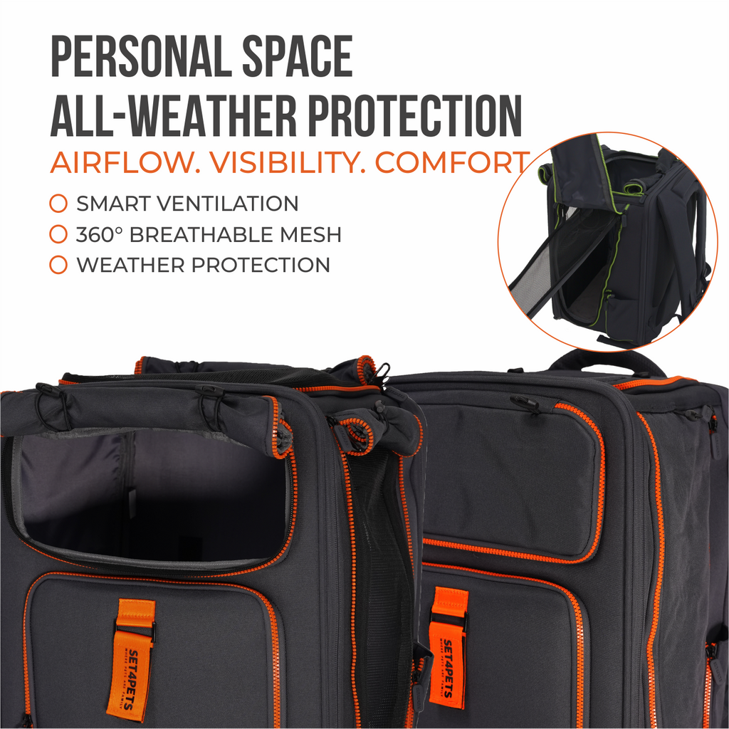 Premium Car Safety Carrier 2.0 — Orange