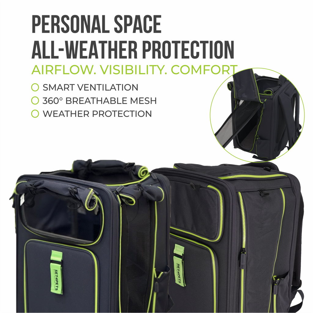 Premium Car Safety Carrier 2.0