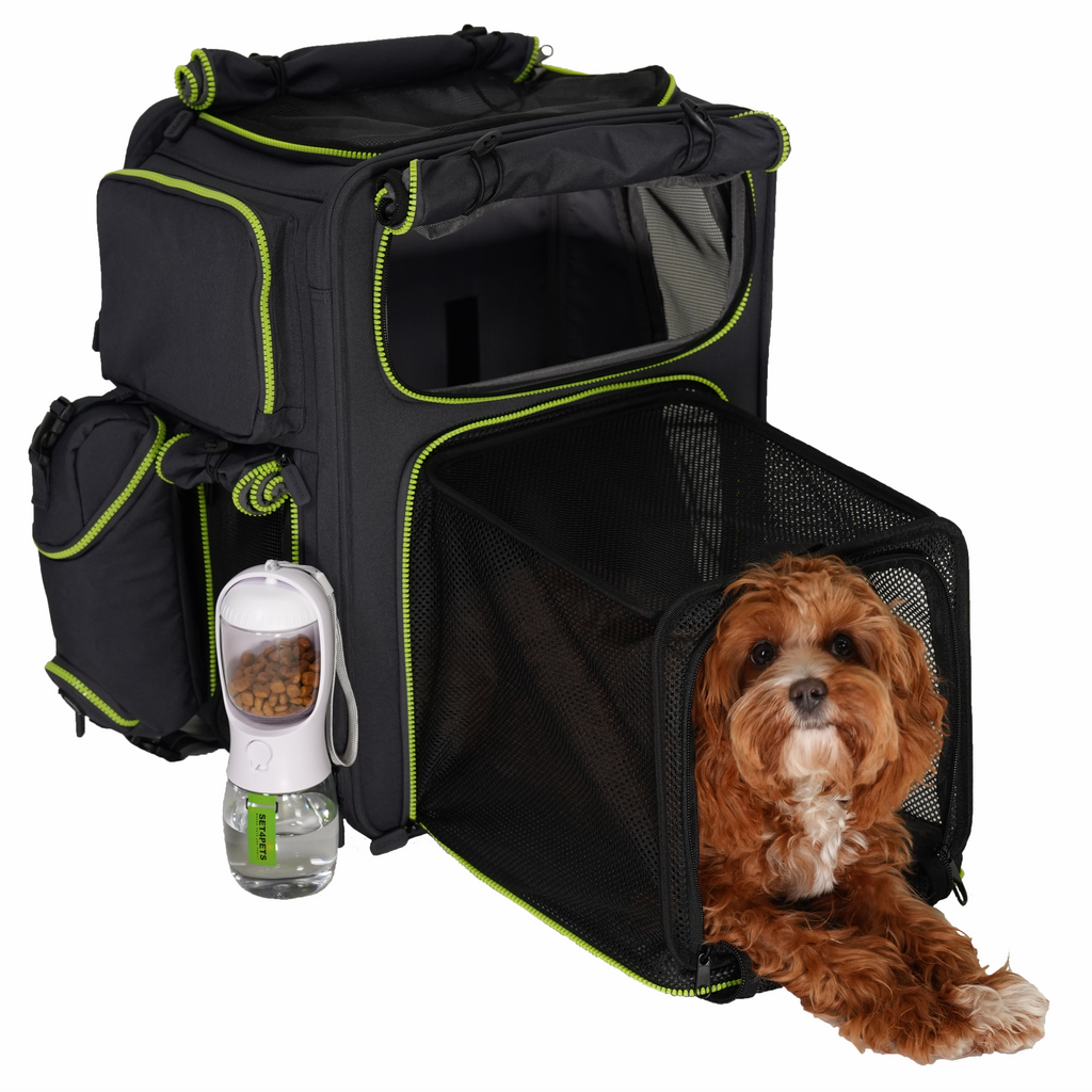Premium Car Safety Carrier 2.0