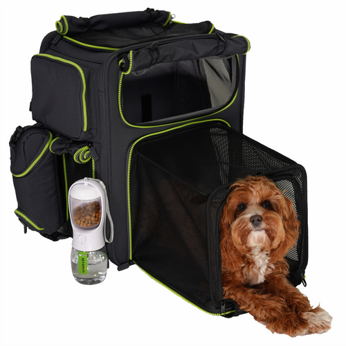 Premium Car Safety Carrier 2.0