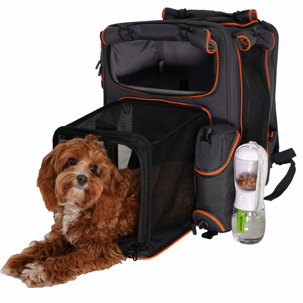 Premium Car Safety Carrier 2.0 — Orange