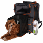 Premium Car Safety Carrier 2.0 — Orange