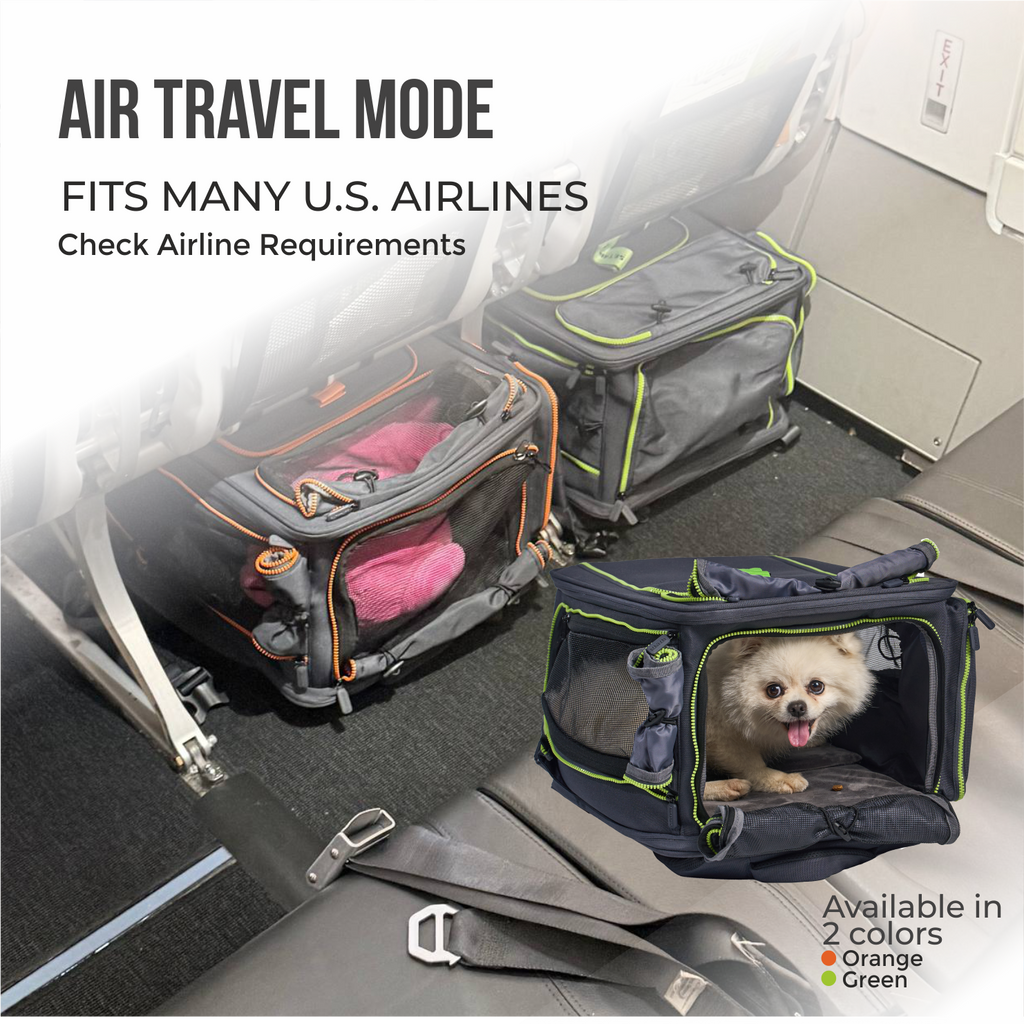 Premium Car Safety Carrier 2.0