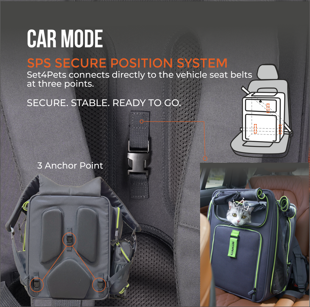 Premium Car Safety Carrier 2.0 — Orange