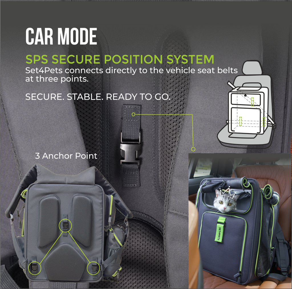 Premium Car Safety Carrier 2.0