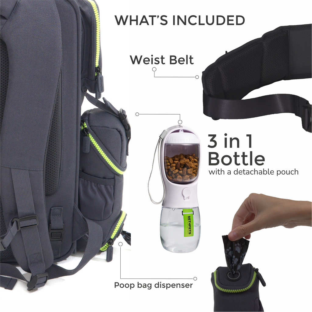 Premium Car Safety Carrier 2.0