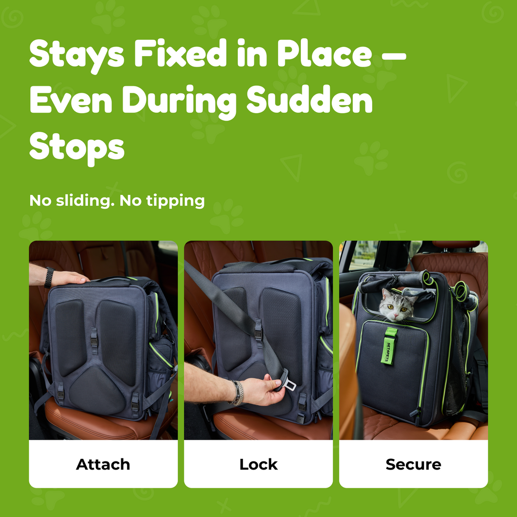 Set4Pets cat carrier expanded +43% more space — green