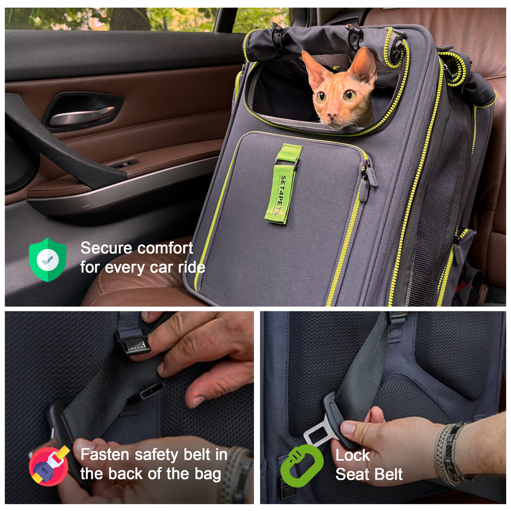 Premium Car Safety Carrier 2.0