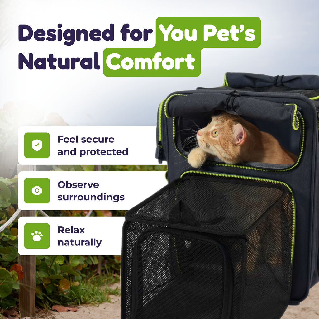 Set4Pets expandable carrier interior space for cat — green