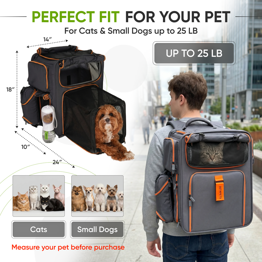 Set4Pets cat backpack carrier lifestyle travel photo — orange