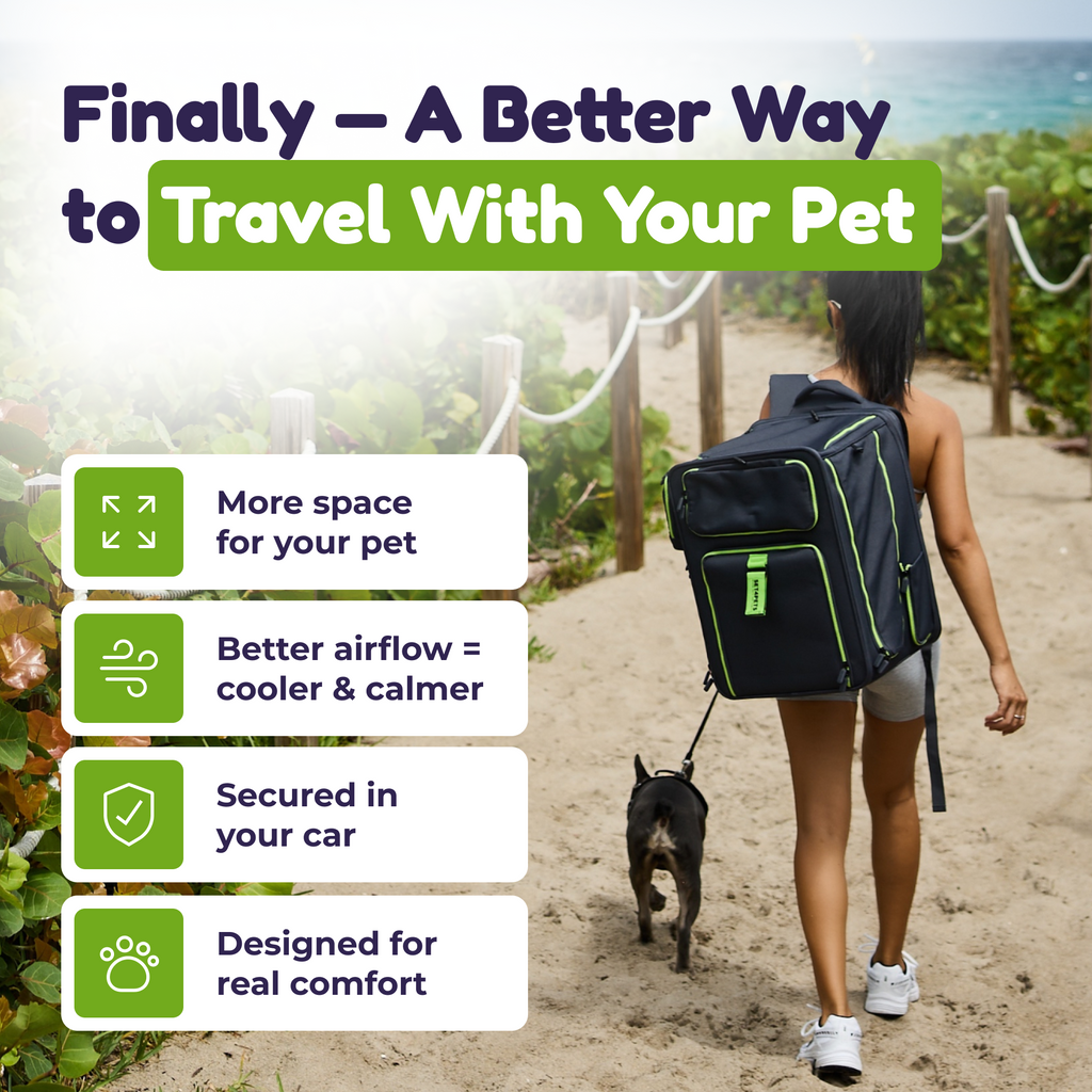 Set4Pets cat carrier top entry mesh window — green