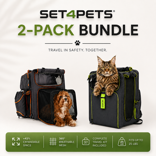 Travel Bundle — 2 Premium Carriers
