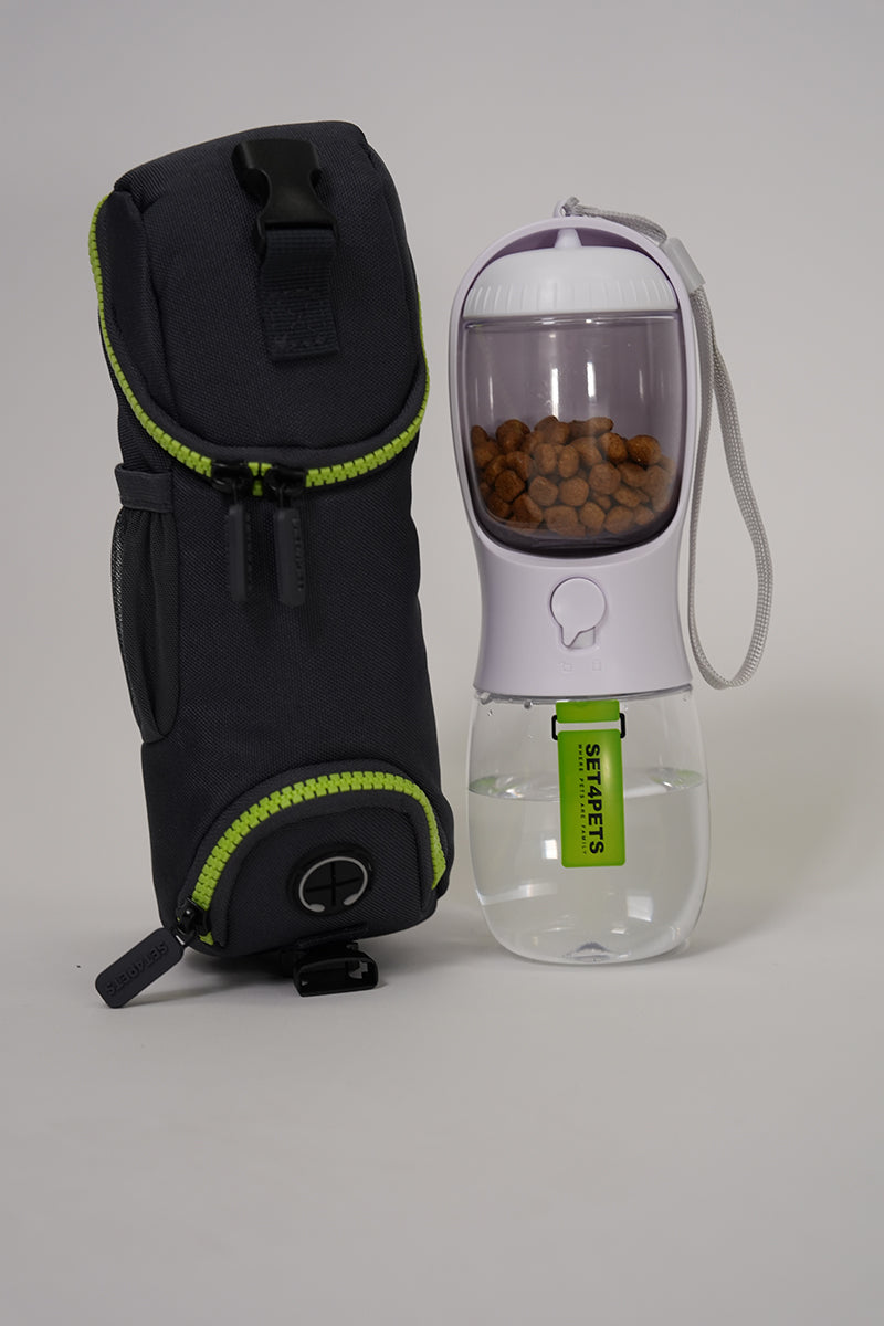Premium Car Safety Carrier 2.0 — Green