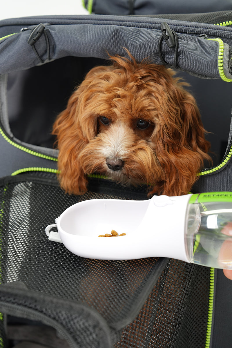 Premium Car Safety Carrier 2.0 — Green