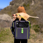 Premium Car Safety Carrier 2.0