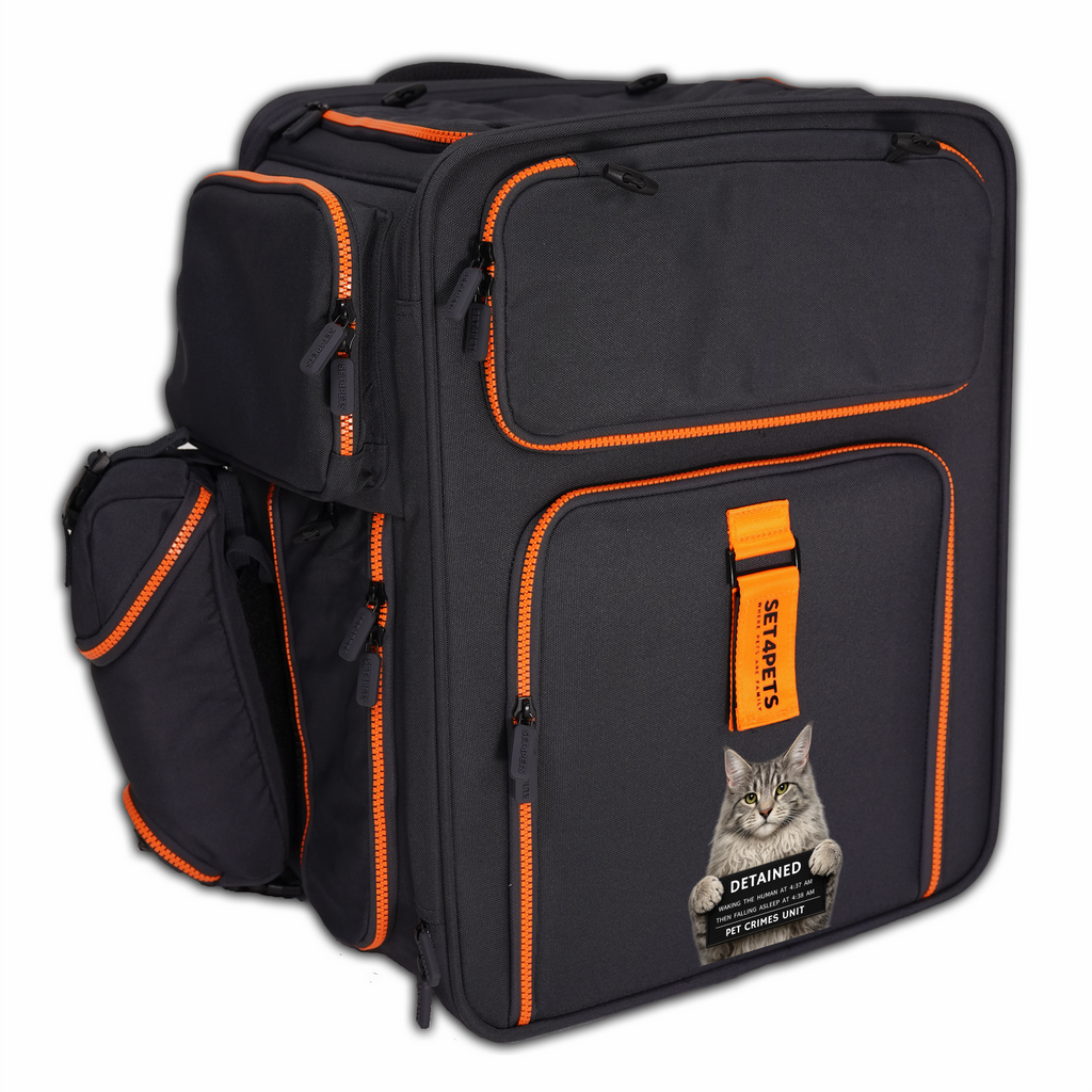 Set4Pets carrier with custom photo print