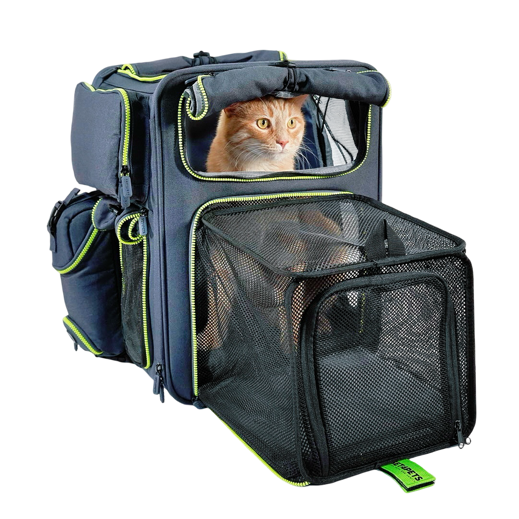Premium Car Safety Carrier 2.0