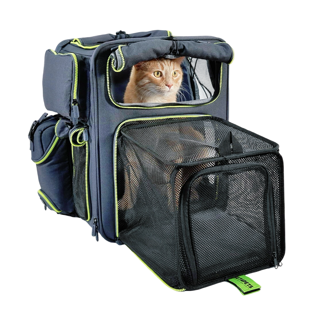 Premium Car Safety Carrier 2.0 — Green