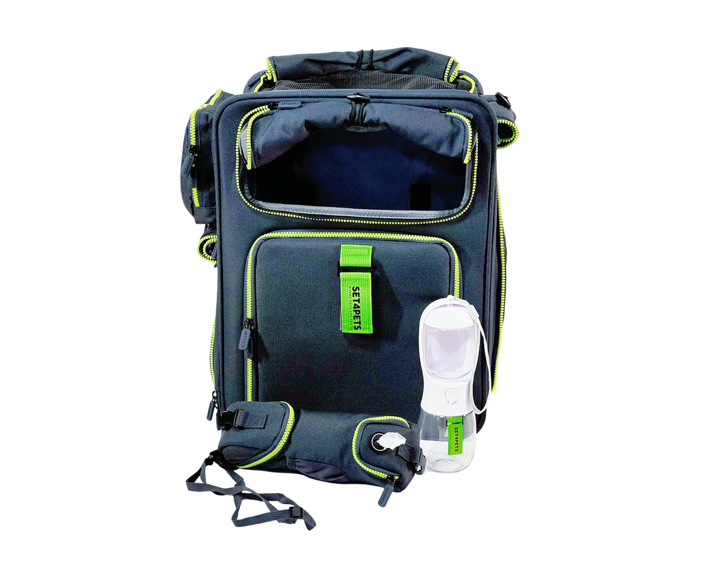 Premium Car Safety Carrier 2.0