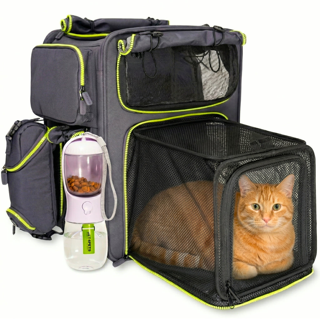Set4Pets backpack carrier cat travel lifestyle photo — green