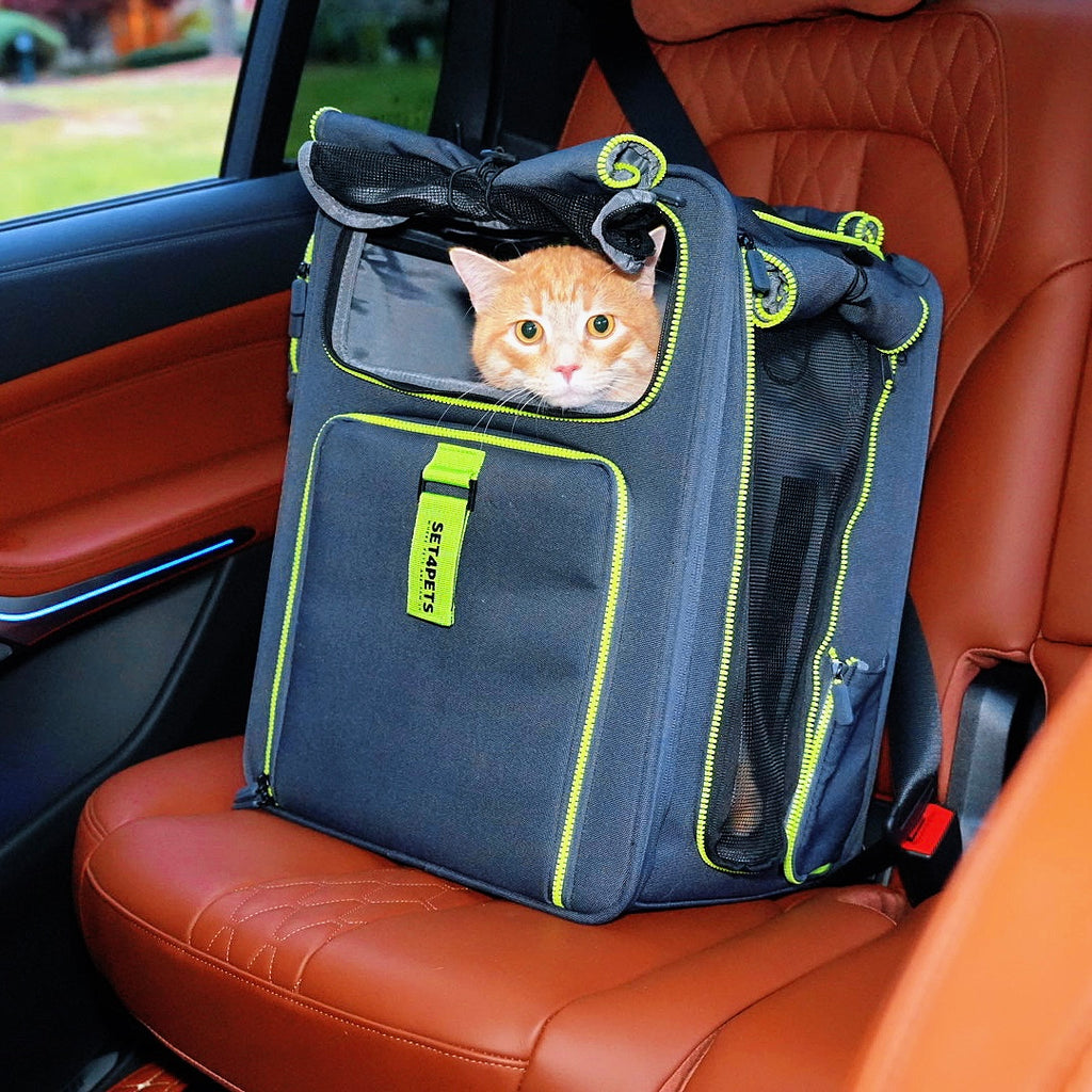 Set4Pets Car Safety Carrier — Forest Green