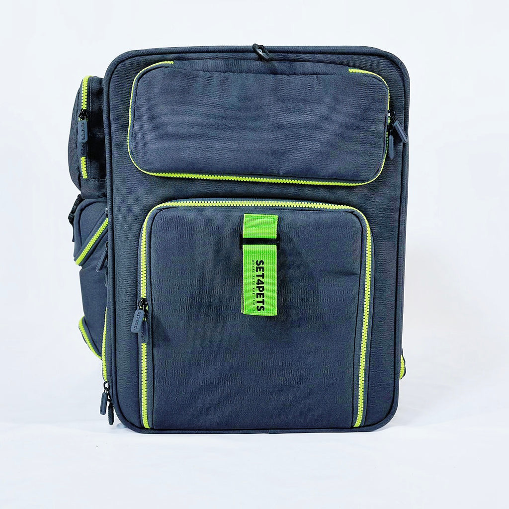 Set4Pets Car Safety Carrier — Forest Green