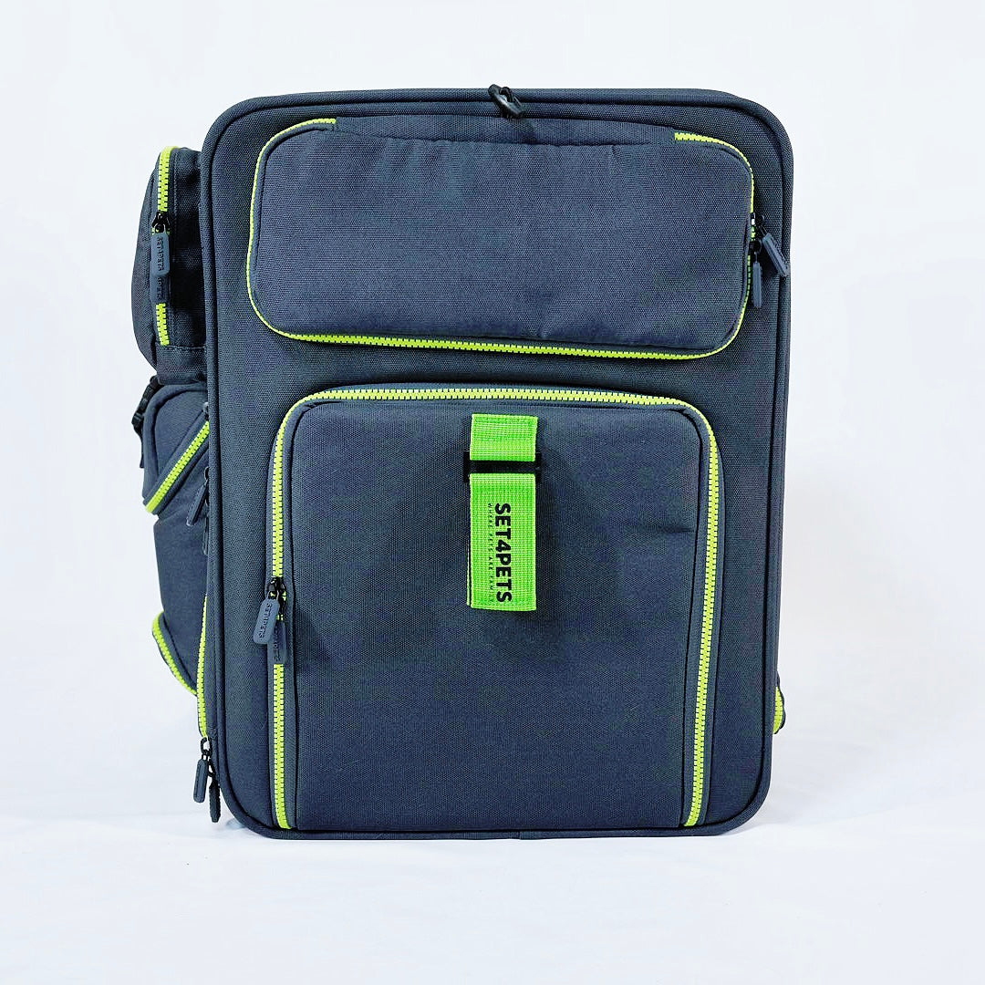 Set4Pets Car Safety Carrier — Forest Green