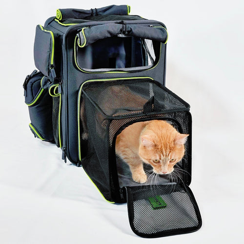 Set4Pets Car Safety Carrier — Forest Green