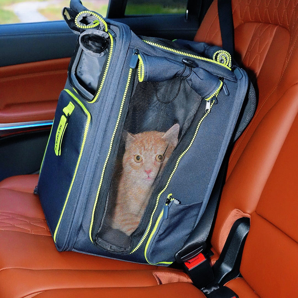 Set4Pets Car Safety Carrier — Forest Green