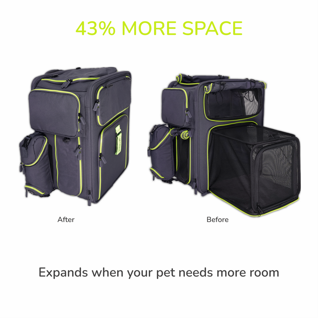 Premium Car Safety Carrier 2.0