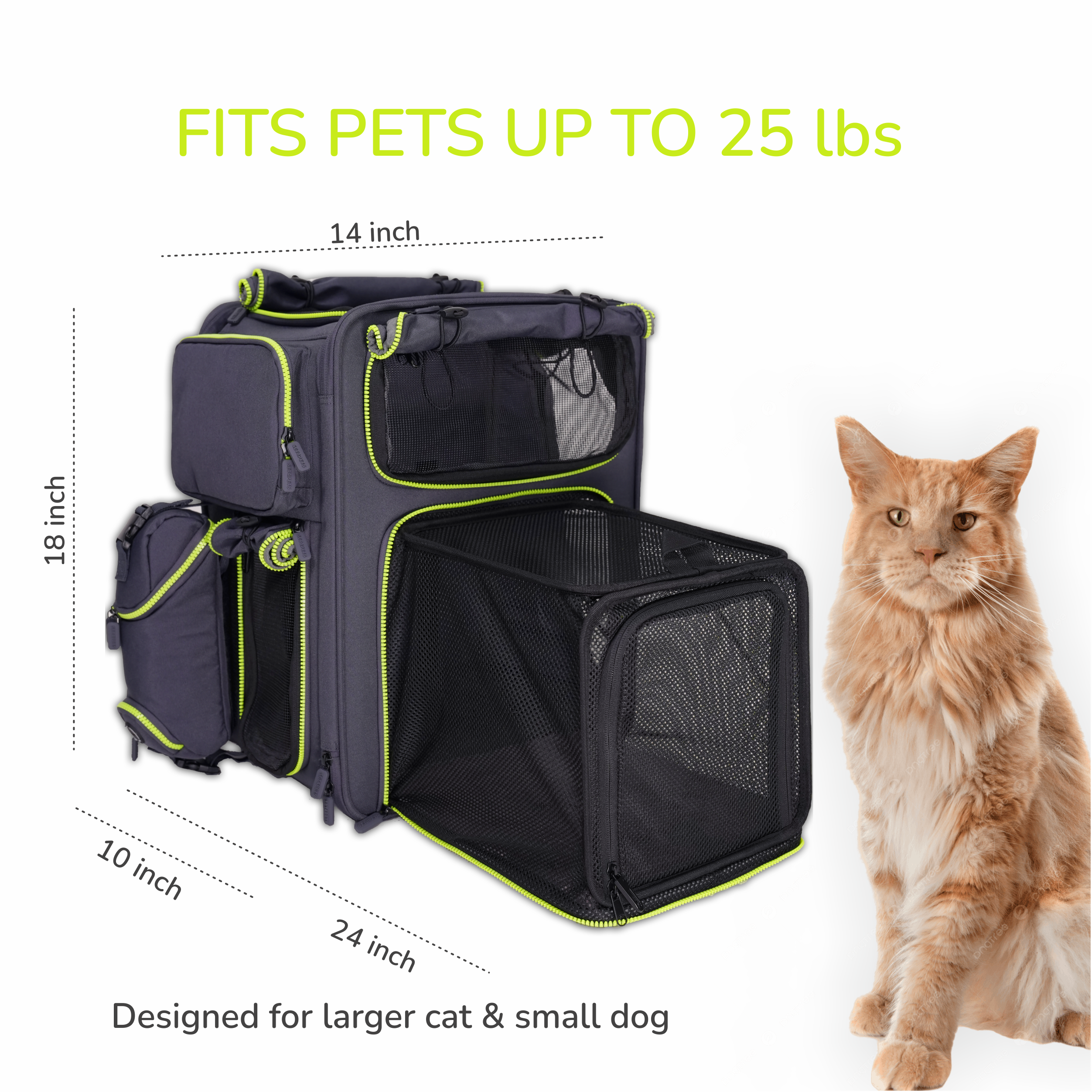 Premium Car Safety Carrier 2.0