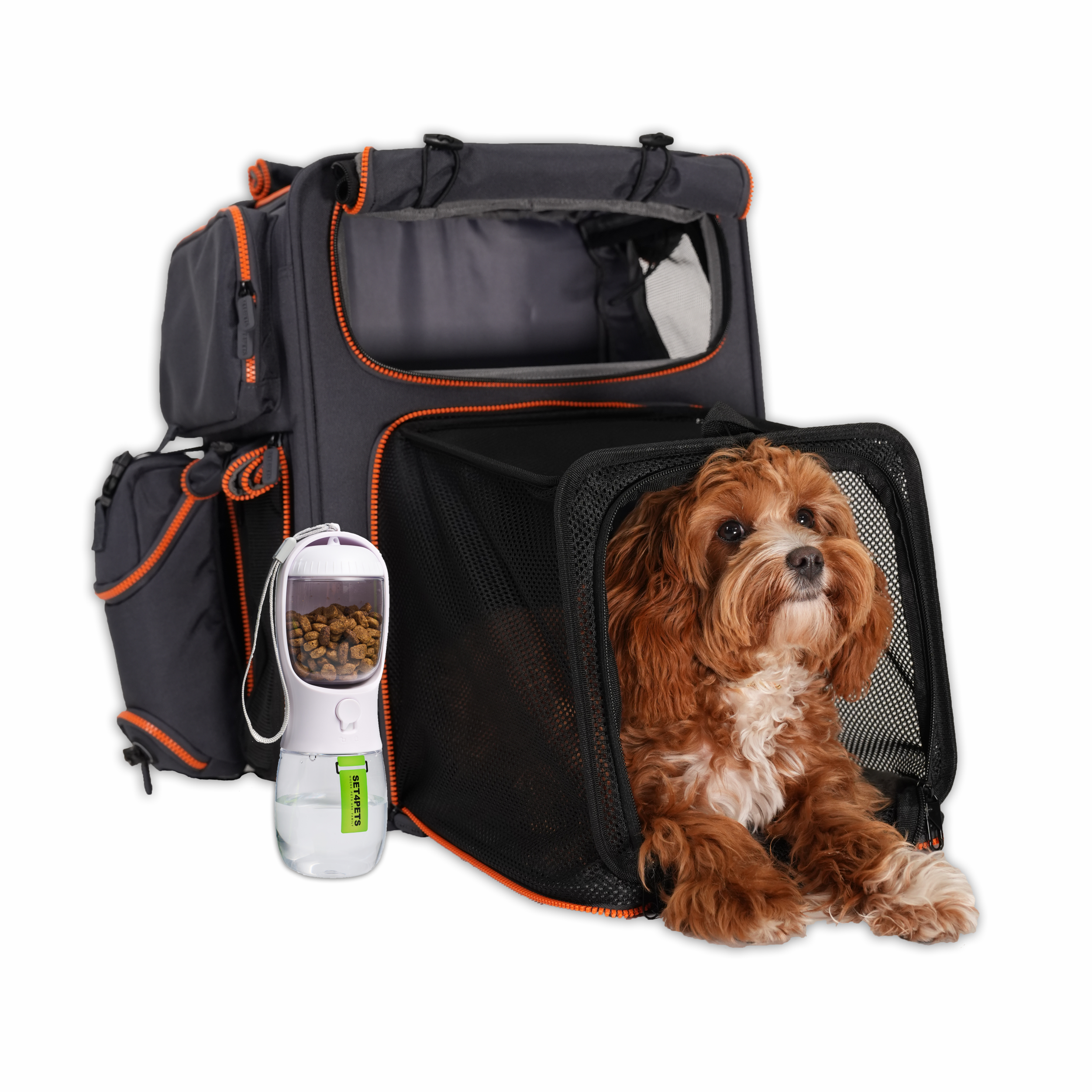Travel Bundle — 2 Premium Carriers