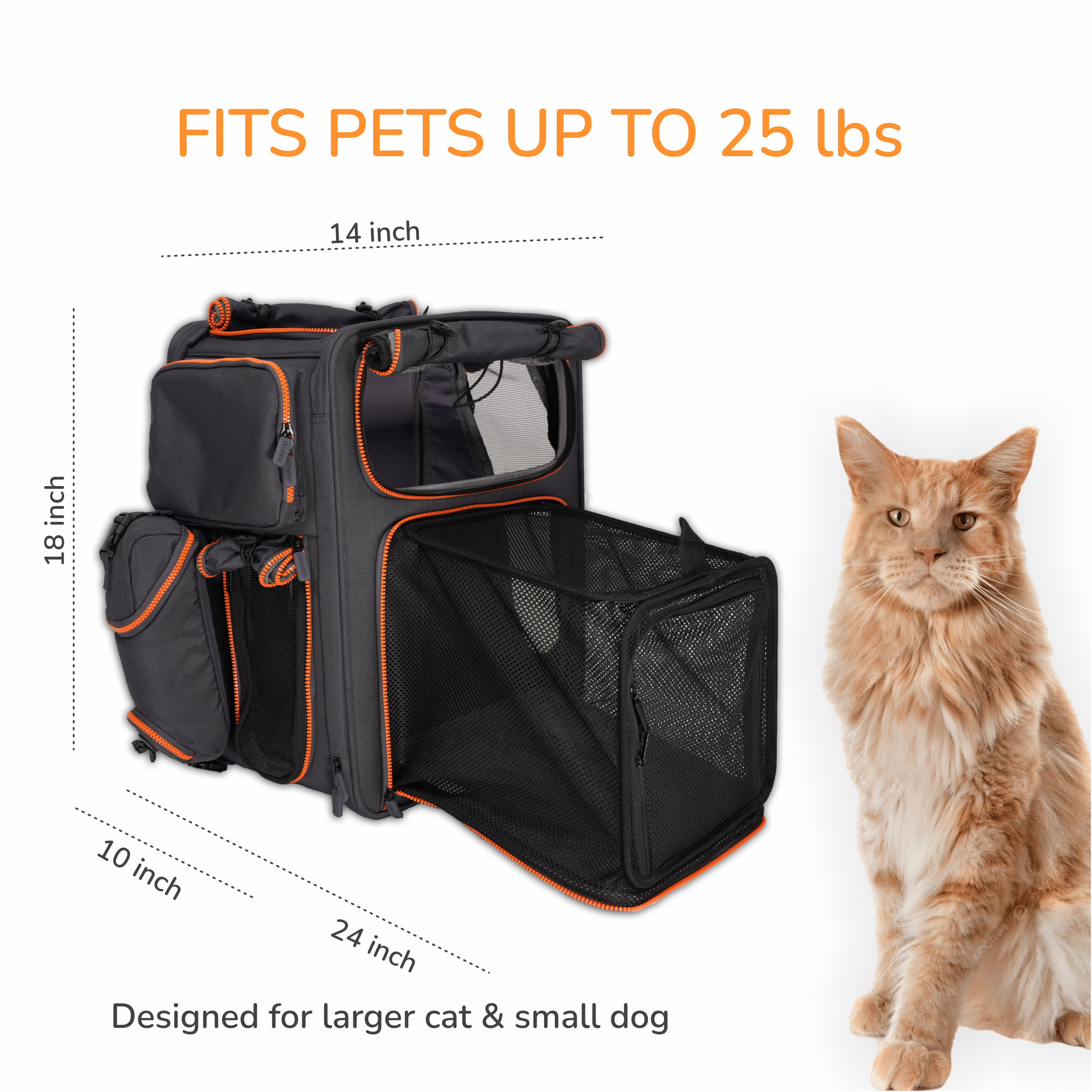 Travel Bundle — 2 Premium Carriers